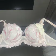 ワコールのサルート（Salute）66グループブラジャータグ付き