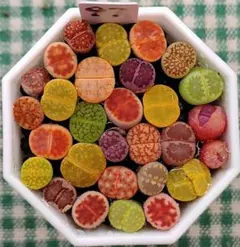 mrk様 リクエスト 3点 まとめ商品