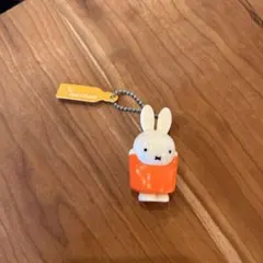 Item thumbnail for item 9c1e3d2a-9dd3-4eaf-b562-a788fb91b0d2