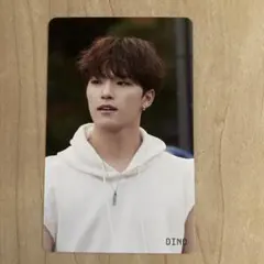 seventeen sector17 HMV特典　ディノ