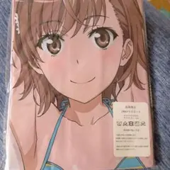 パッケージ未開封☆堀江由衣抱き枕カバー2セット「黒ネコ集会Vol.16、17」 パッケージ未開封☆堀江由衣抱き枕カバー2セット「黒ネコ集会Vol.16