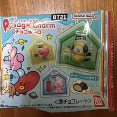 BT21 パッケージチャーム　2点セット　ナム、ジン