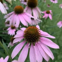 桜花様 リクエスト 2点 まとめ商品