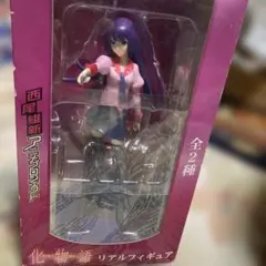 化物語　戦場ヶ原ひたぎ リアルフィギュア