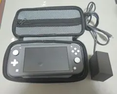 Nintendo Switch Lite グレー 本体 充電器 ケース付き