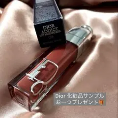 ディオール アディクト リップ マキシマイザー 024（最終値下）