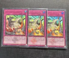 遊戯王　ドラグマパニッシュメント　ウルトラレア　ロゴ　3枚　白の物語