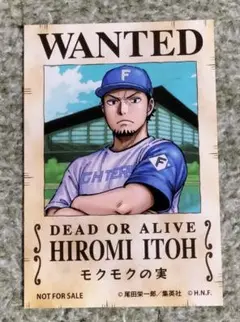 日本ハムファイターズ　ワンピースコラボ　手配書　ステッカー　伊藤大海