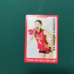 デンソーエアリービーズ　カード　川畑選手　ガ＊ョー様