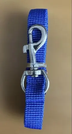 Item thumbnail for item ee12ce46-df9d-47e6-9c60-e553b179319b