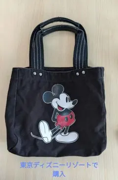 ミッキー　トートバッグ　ミニバッグ　ミニトートバッグ　黒　ディズニー