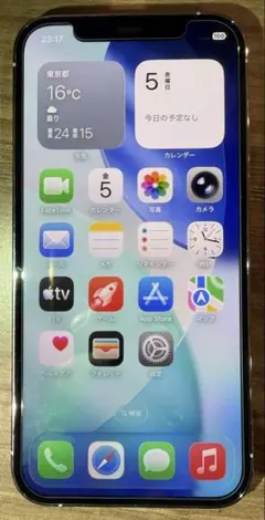 早い者勝ちiPhone 12pro 256g 85%青、背面破損 SIMフリー - メルカリ