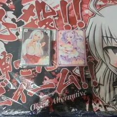 OYARI ASHITO 2011 CARENDAR 大槍葦人2011カレンダー - メルカリ