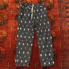 ノースフェイス　パープルレーベル　ペイズリー　 Lサイズ　定価27000円