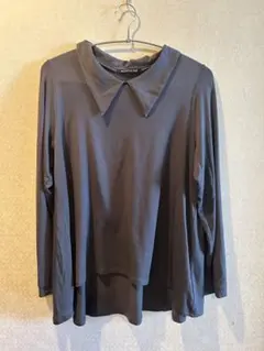 ミズイロインド 天竺 ニット mizuiroind フレア カットソー