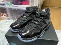 Nike Air Jordan 11 Gamma (2025) 26cm 未使用