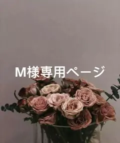 M様専用ページ