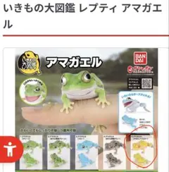 いきもの大図鑑レプティ アマガエル アルビノイエロー 1個