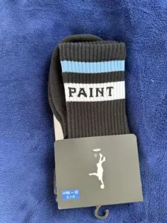 インザペイントソックス