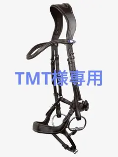 Item thumbnail for item dc6abc59-6b87-4ed1-93df-d576cb5747b2