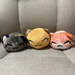 2025年最新】ねむネコぬいぐるみの人気アイテム - メルカリ