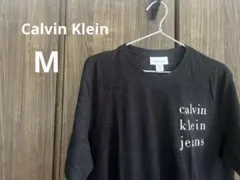 Calvin Klein Tシャツ ブラック カルバンクライン 希少のサムネイル