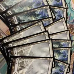 MTG:荒地*19のサムネイル