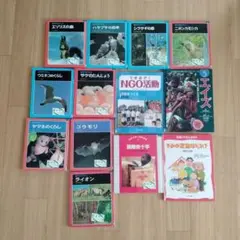 処分価格　大人気　絵本　児童書　まとめ売り　39冊セット　まとめて m83329597067_1.jpg?1716450779