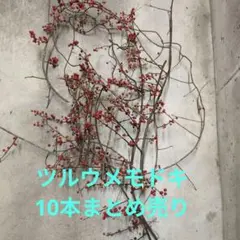 やよい様 リクエスト 2点 まとめ商品