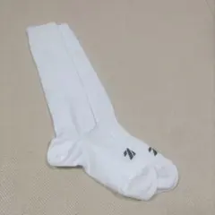 Item thumbnail for item 38cc5e60-743e-4c02-8e9f-3c7495aaa6d4