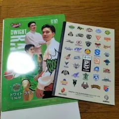 レバンガ北海道 ドワイト・ラモス　バレンタインデー クリアファイル