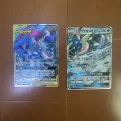 ゲッコウガ&ゾロアークGX & ゲッコウガGX セット