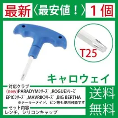 Item thumbnail for item fa756c9d-c863-4a9a-924e-dfc083e4dd98