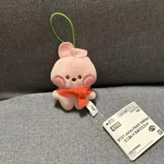 2025年最新】bt21 ぬいぐるみ cookyの人気アイテム - メルカリ