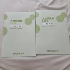 愛知淑徳大学 入試問題集 2019 2020 2冊セット AO・公募制推薦 - メルカリ