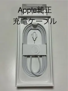 Apple純正充電ケーブル ホワイト　Cタイプ