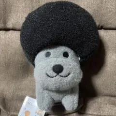 san-xオールスターズ ふわふわブラックカラー　カフロケン