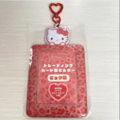 サンリオ ハローキティ トレカケース ヒョウ柄