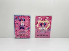 ディズニーリゾートライン　ミニー　パルパル　ミニーの日　フリーきっぷ