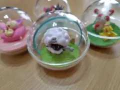 ポケモン テラリウムコレクション　Happyなまいにち