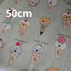 生地　コットンこばやし　ネコ