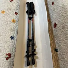 Item thumbnail for item bdac37a9-e8b8-4f10-b15b-fa2ddcfc5d38