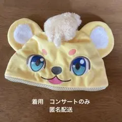 ファンターネ　ファンキャップ　ルチータ