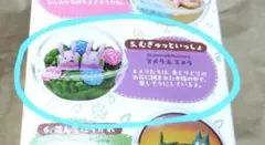 ポケモン テラリウムコレクション のんびりなひととき むぎゅっといっしょ ヌメラ