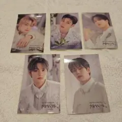 Stray kids オリジナルステッカー 5枚セット MANIAC