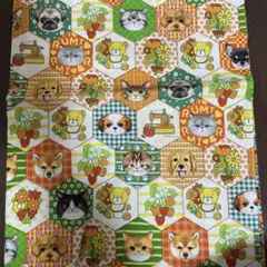 2026年最新】コヤンイサムチョン 生地の人気アイテム - メルカリ