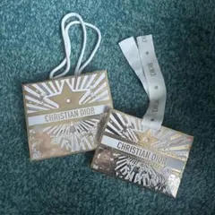 CHRISTIAN DIOR ショッパー袋 2点セット