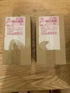 新品 未開封 ポケモンセンタートウホク スペシャル　2BOX シュリンク付き ポケモンセンタートウホク スペシャル2BOX 未開封 シュリンク付き