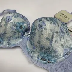 トリンプ恋するブラ着け心地楽ちん❣️D80