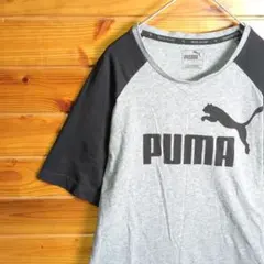 PUMA　プーマ　ラグランTシャツ　半袖シャツ　グレー　ラグラン袖　黒　Ⅿ　古着